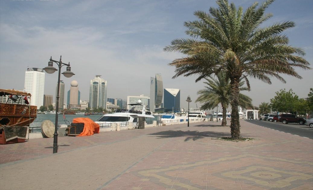 Dubai\'s best pest control company, Al Rasa, has now started in Bur Dubai too